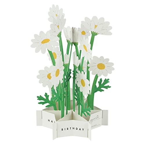 Greeting Life 3D Glooming Birthday Message Card - Marguerite Daisy