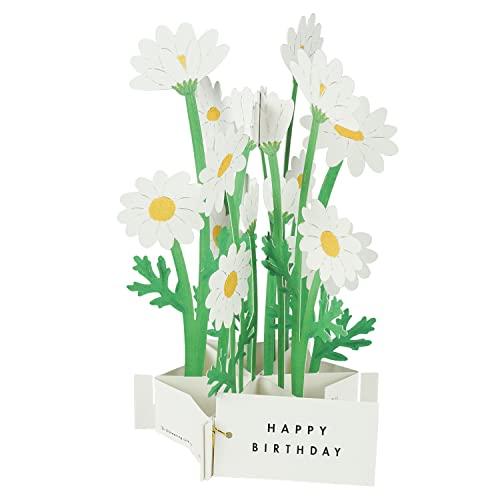 Greeting Life 3D Glooming Birthday Message Card - Marguerite Daisy