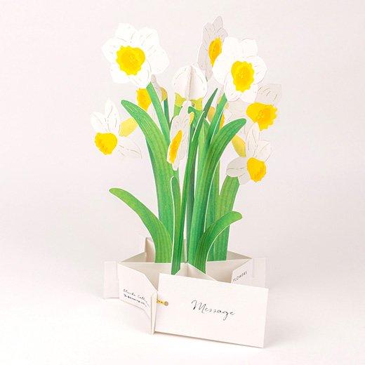 3D Glooming Message Card Daffodil