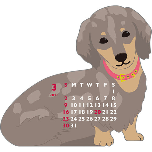 Greeting Life Miniature Dachshund Mini Die-cut 2025 Calendar