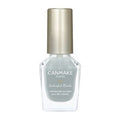 N28 Smoky Aqua - Canmake Colorful Nails Nailpolish