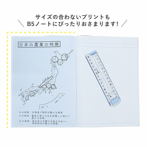 Ruler that can cup paper Mint