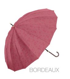 Umbrella 
55cm