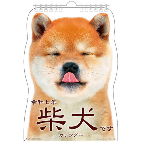 2025 Calendar (Hanging/Shiba Dog/17.8x25.3cm/SMCol(s): Multicolour)