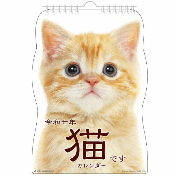 2025 Calendar (Hanging/Cat/17.8x25.3cm/SMCol(s): Multicolour)