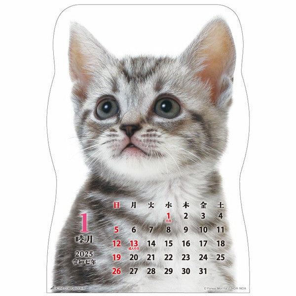 Cat Hanging 2025 Calendar