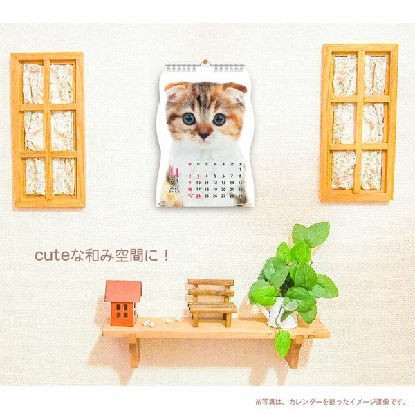 Cat Hanging 2025 Calendar