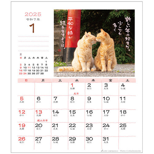 Cat 2025 Desk Calendar