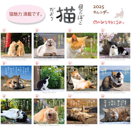 Cat 2025 Desk Calendar