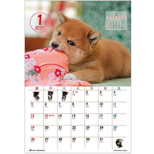 Morita Yoneo: Shiba Dog 2025 Desk Calendar