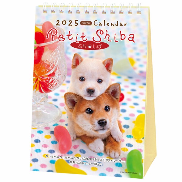 2025 Desk Calendar (Petit Shiba Dog/12.4x17.8cm/SMCol(s): Multicolour)