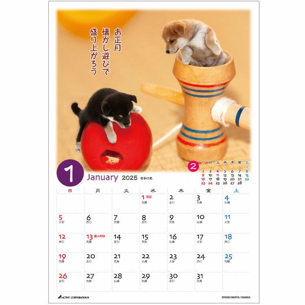 Petit Shiba Dog 2025 Desk Calendar