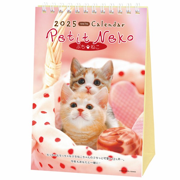 2025 Desk Calendar (Petit Cat/12.4x17.8cm/SMCol(s): Multicolour)