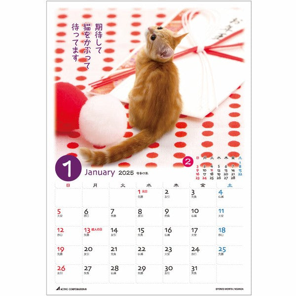 Petit Cat 2025 Desk Calendar