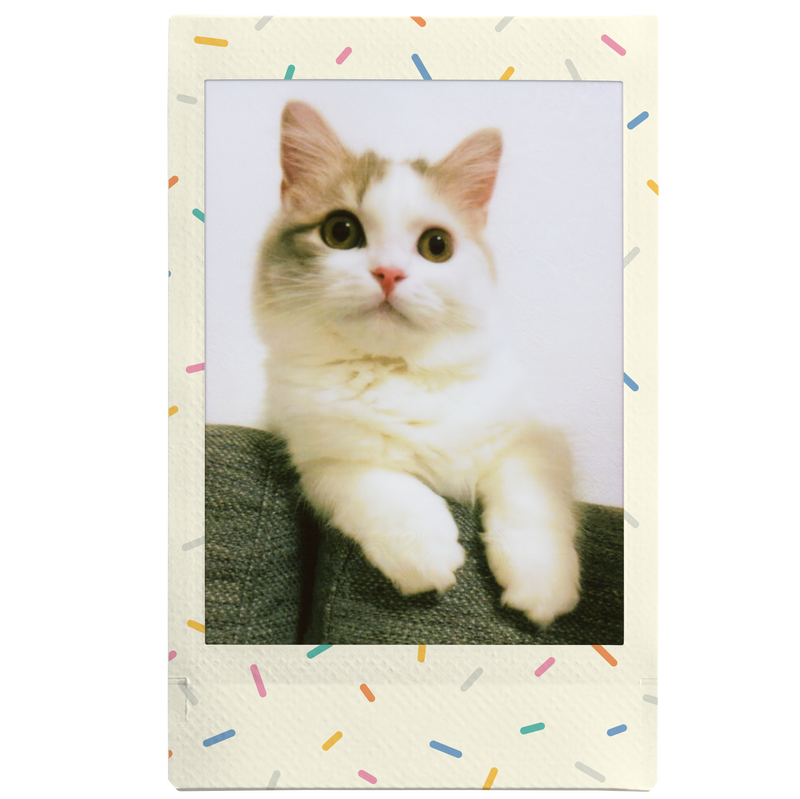 Fujifilm Instax Mini Film  Sprinkle Cat
