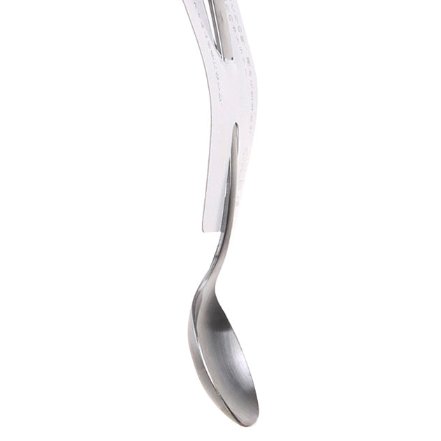 Spoon (13cm)