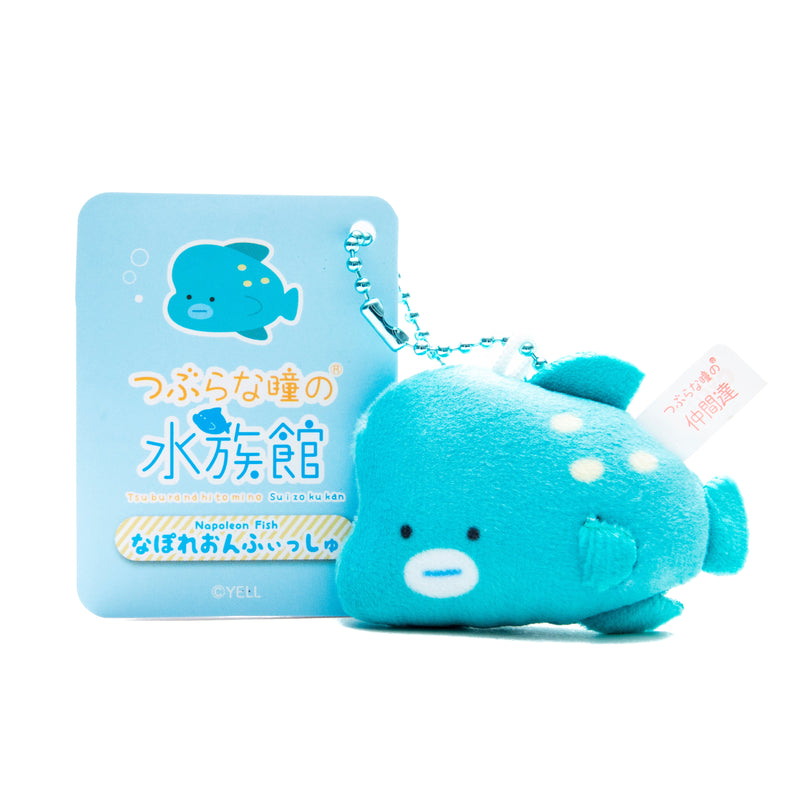 Plushie (Key Chain/Mini/Cute Eyes Aquarium: Napolean Fish/Palm Size/6x3.5cm/SMCol(s): Blue)