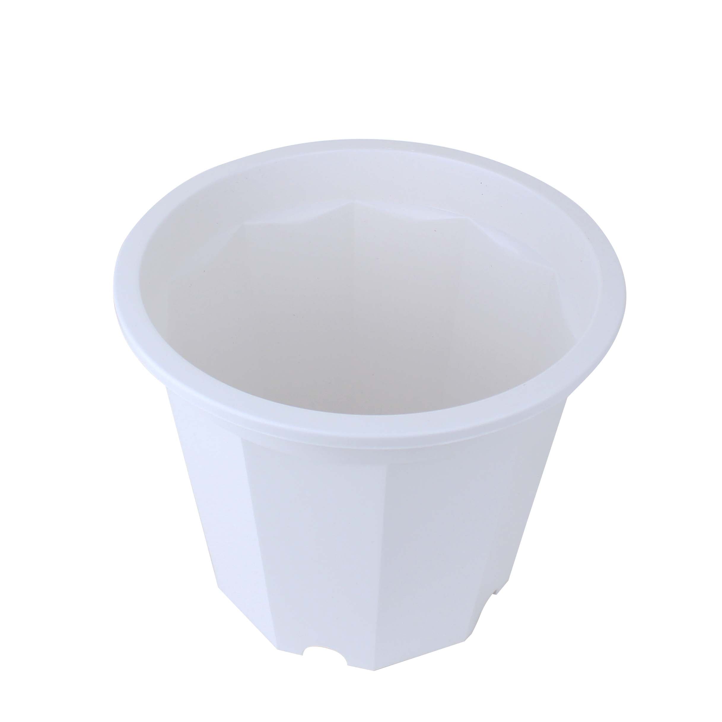 White Decagonal Planter Pot | Oomomo