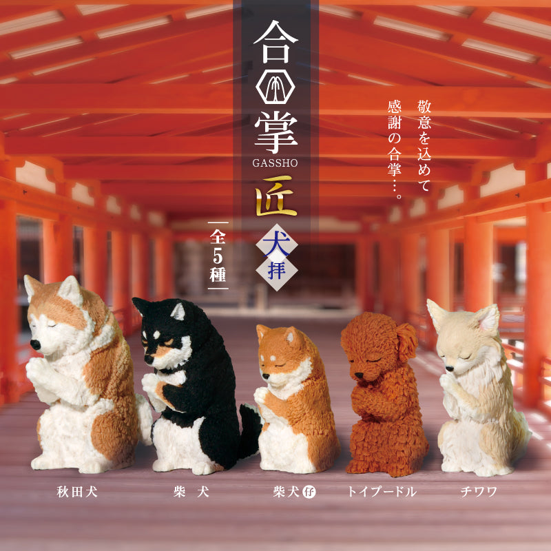 Gassho Takumi Inu Worship 5 Species (Akita Inu, Shiba Inu, Shiba Inu Pups, Toy Poodle, Chihuahua)