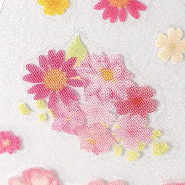 Stickers (Clear/Pressed Flowers/L/Sheet Size: H16.5xW9cm/SMCol(s): Pink)