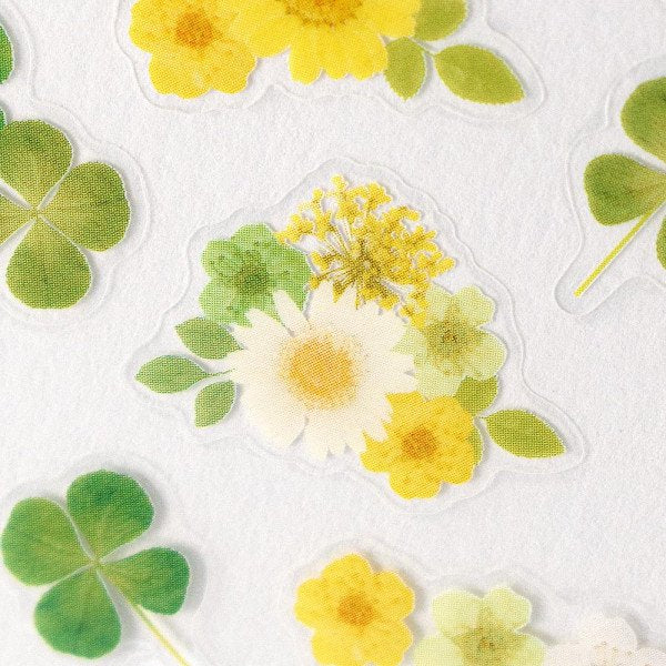 Stickers (Clear/Pressed Flowers/Clovers/L/Sheet Size: H16.5xW9cm/SMCol(s): Green)