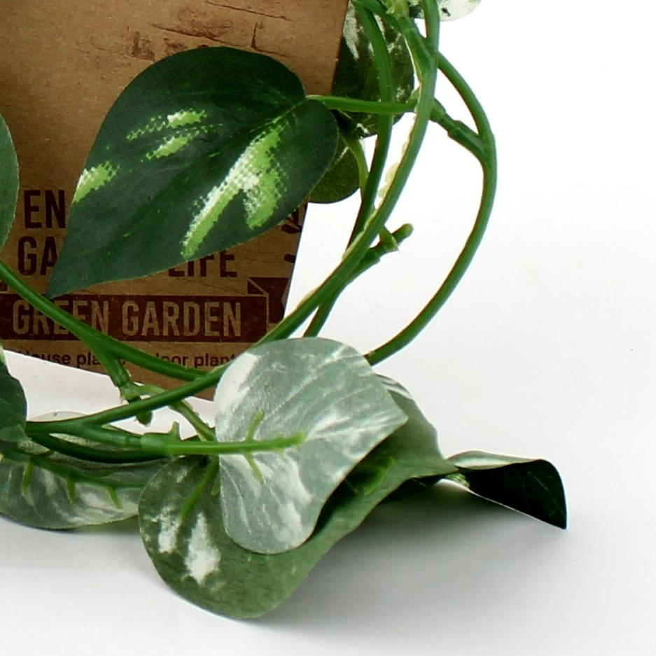 Pothos Garland (GN/100cm)