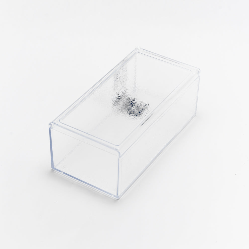 Clear Storage Box with Lid