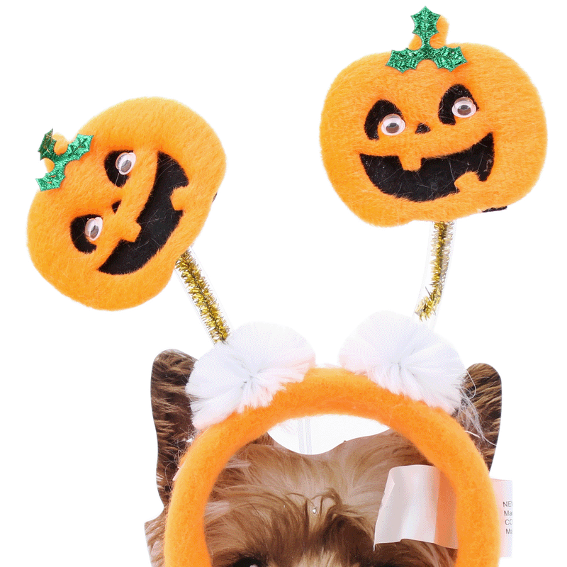 Party Gear Pet Pumpkin Bopper Headband, tie on card